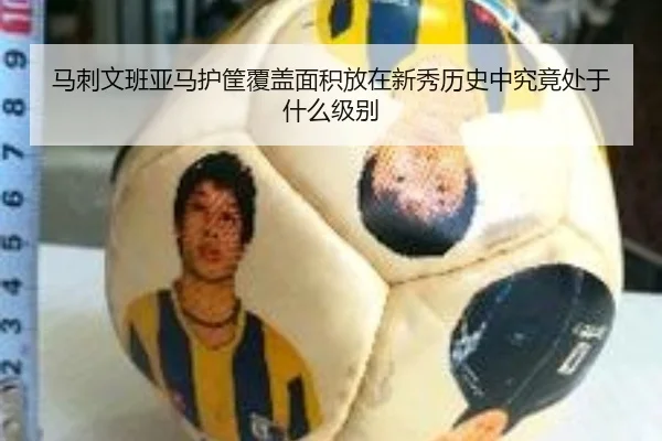 马刺文班亚马护筐覆盖面积放在新秀历史中究竟处于什么级别