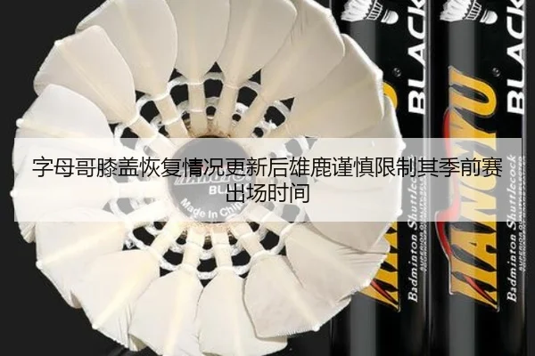 字母哥膝盖恢复情况更新后雄鹿谨慎限制其季前赛出场时间
