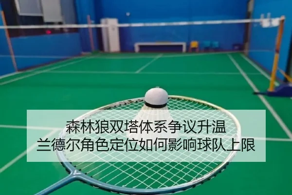 森林狼双塔体系争议升温 兰德尔角色定位如何影响球队上限（leyu）